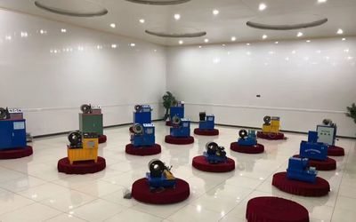Çin Shanghai Fanying Machinery Technology Co., Ltd. Şirket Profili